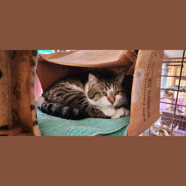 Photo of Farley