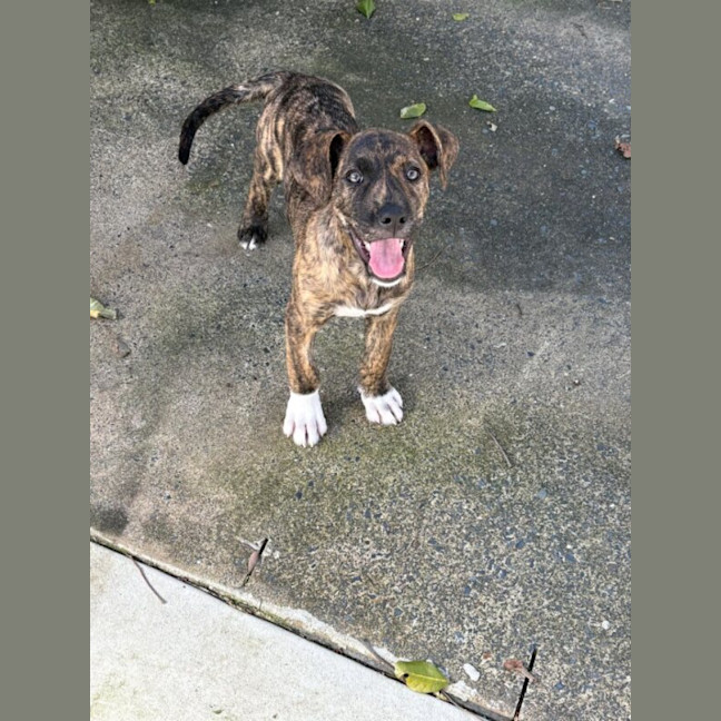 Photo of Chloe