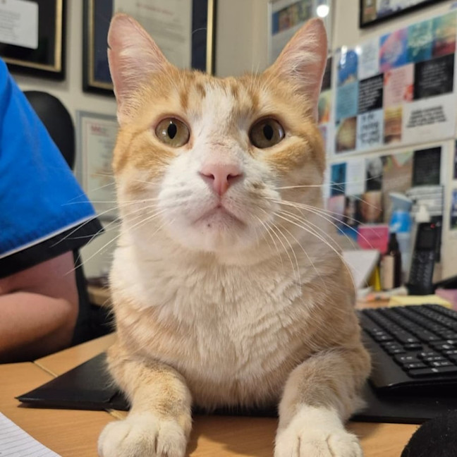Photo of Kevin