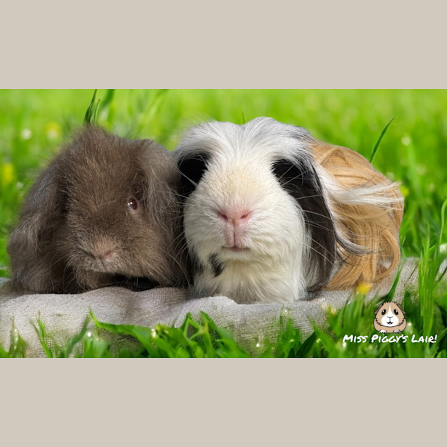 Photo of Steve & Olay