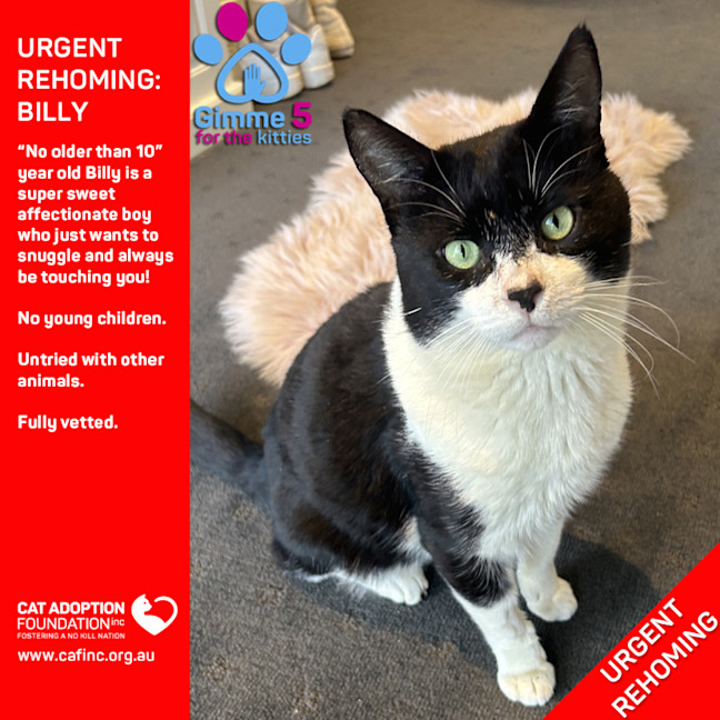 Photo of Billy
