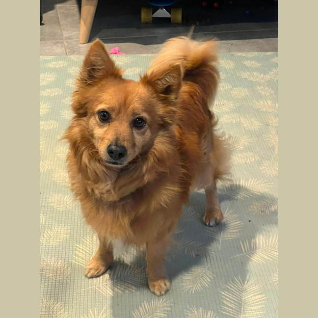 Photo of Bear   The Real Life Teddy 