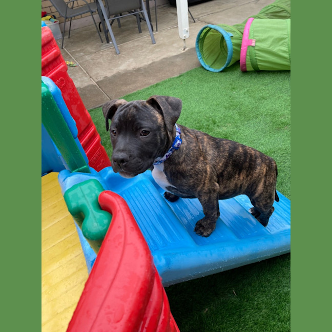 Photo of Aston Martin