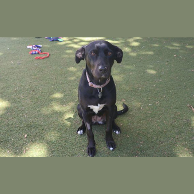 Photo of Maggie Mae