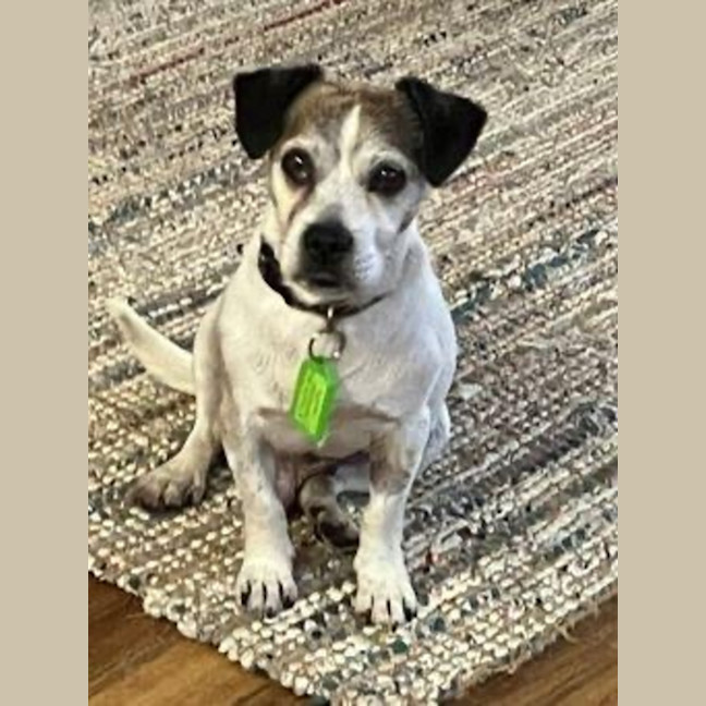 Photo of Coriolanus Snow Peggotty