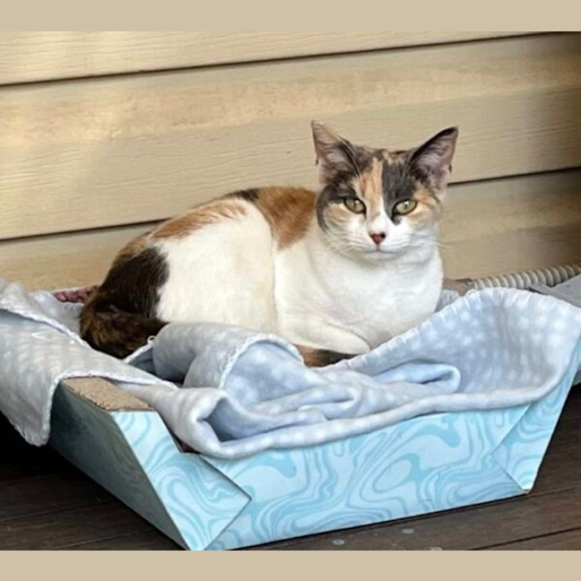 Photo of Princess