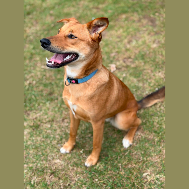 Photo of Thelma