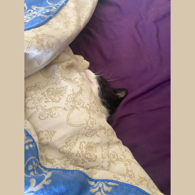 Photo of Maggie