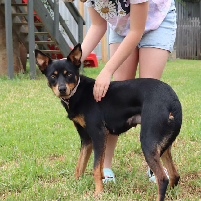Photo of Maggie