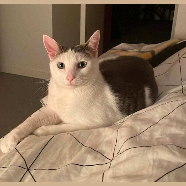 Photo of Locky
