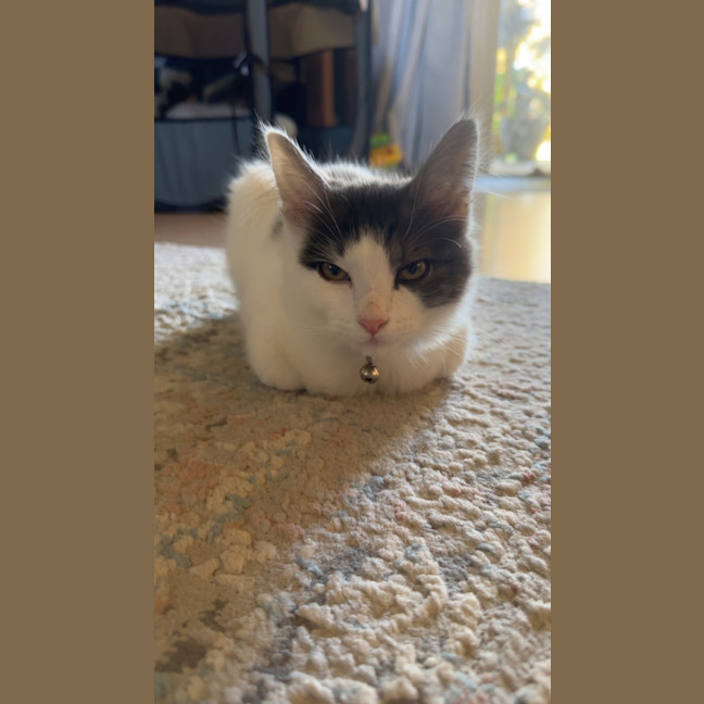 Photo of Aspen