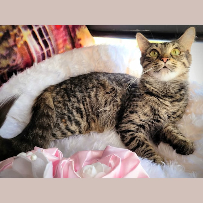 Photo of Audrey 🌺