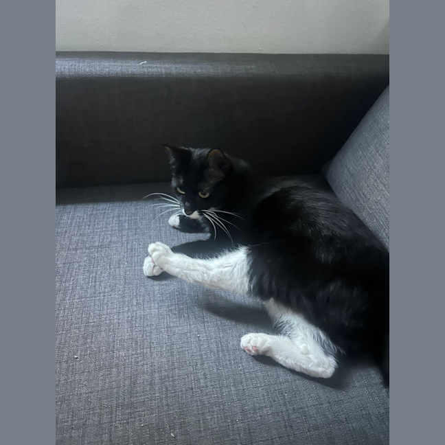 Photo of Bissy