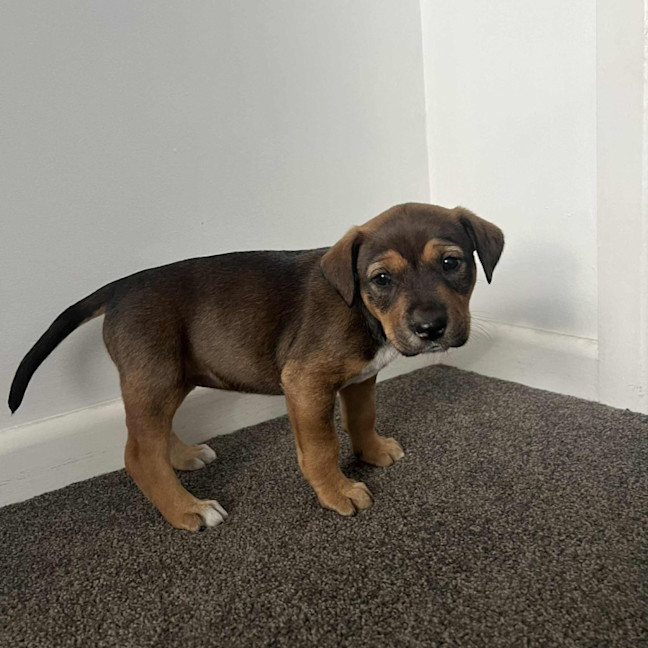 Photo of Princess Bubblegum