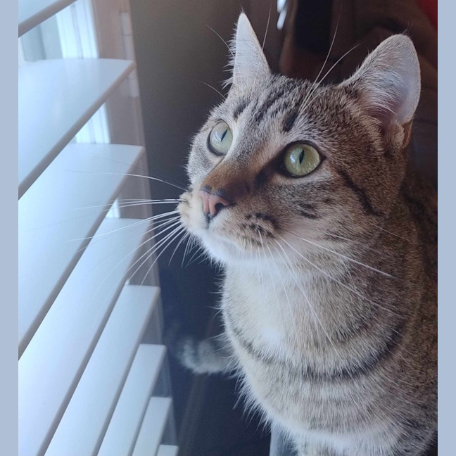 Photo of Oliver
