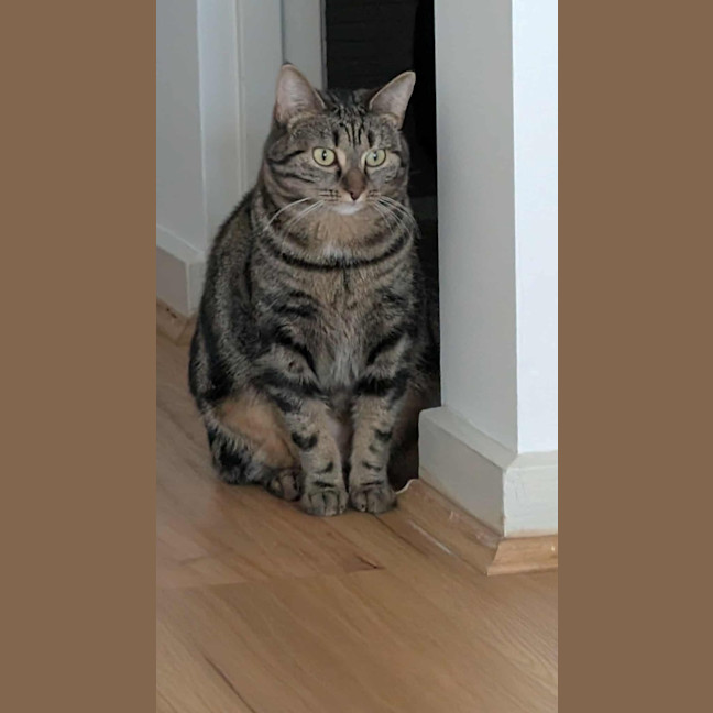 Photo of Spike & Angel 