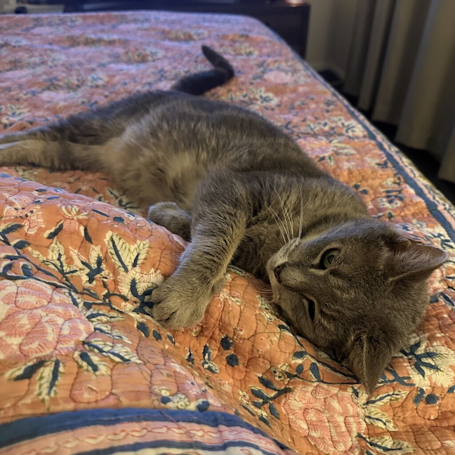 Photo of Ralph
