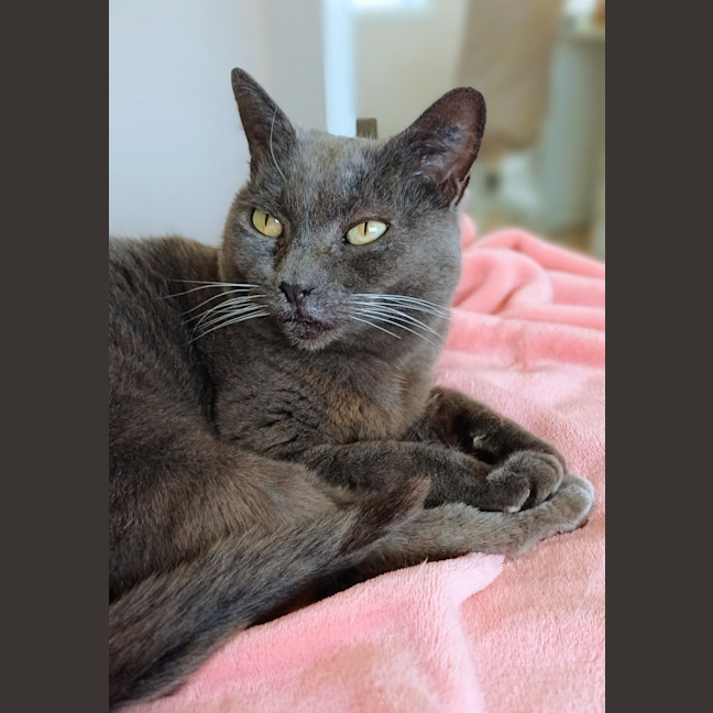 Photo of Alice