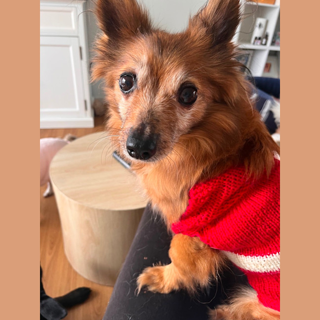 Photo of Chanel