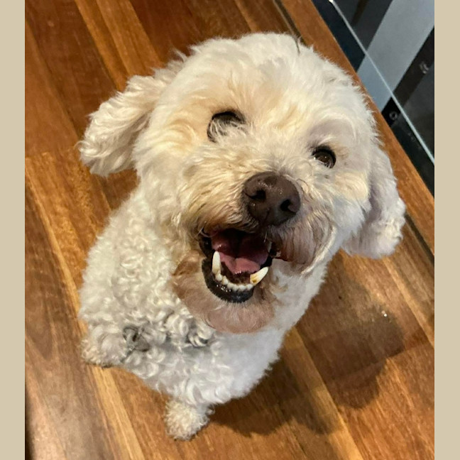 Photo of Billy