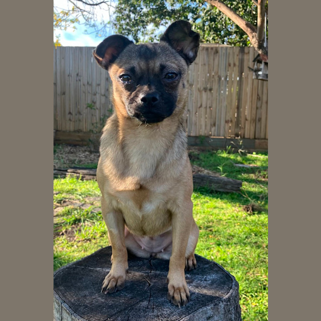 Photo of Minnie 🐭