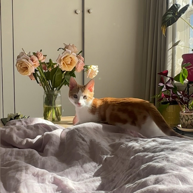 Photo of Roxy & Eggsy