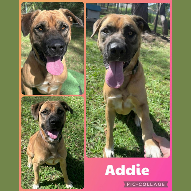 Photo of Addie