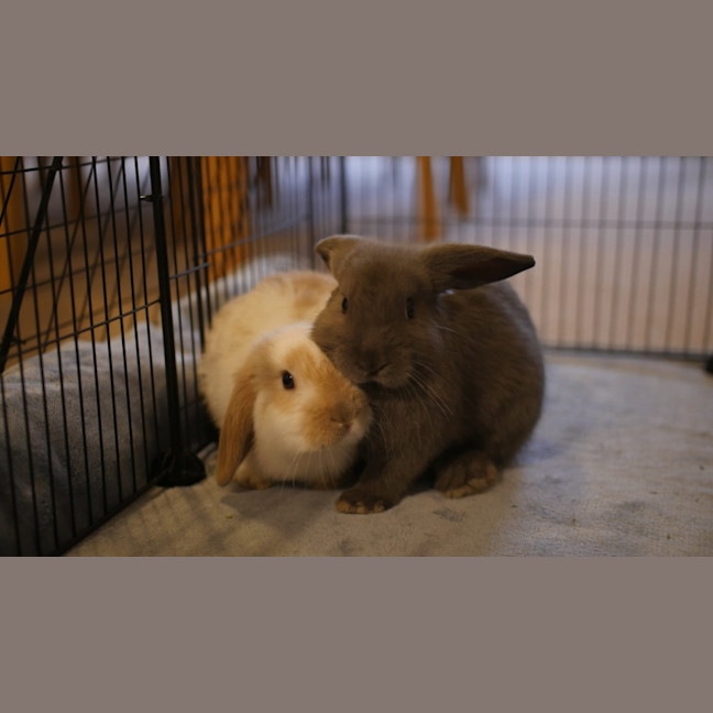 Photo of Hops & Barley