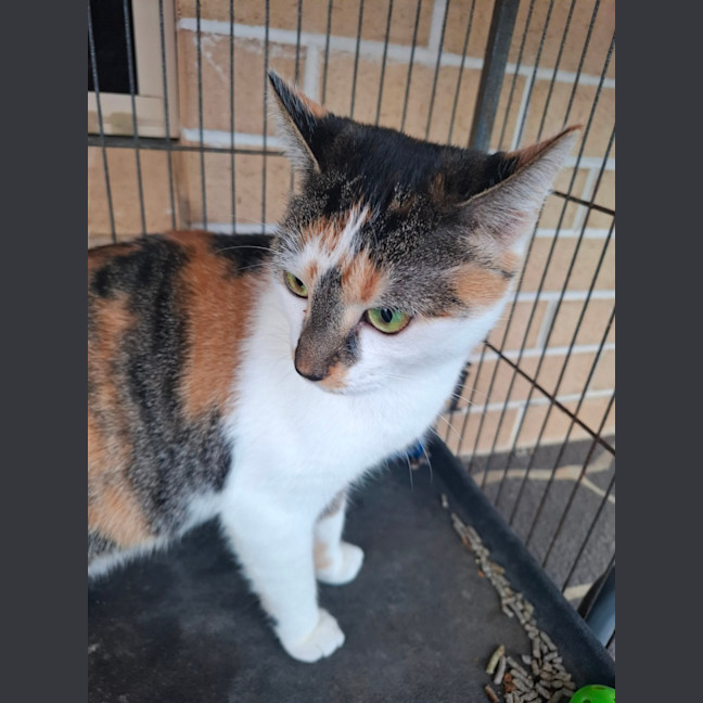 Photo of Hazel