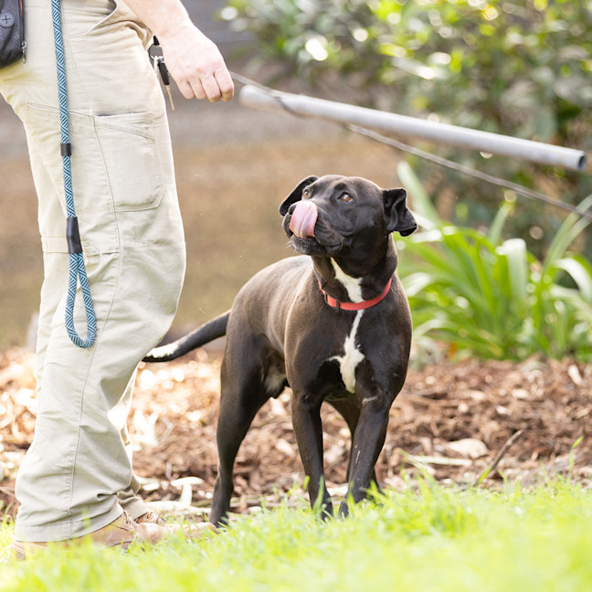 Photo of Sophie