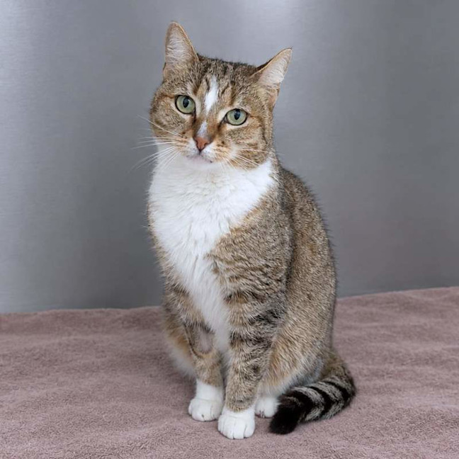 Photo of Mocha