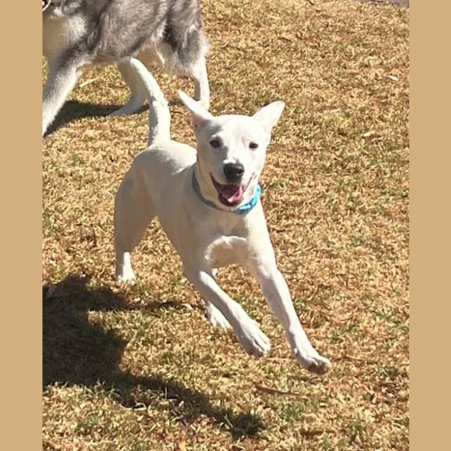 Photo of Lumi
