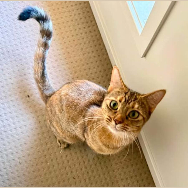 Photo of Arya