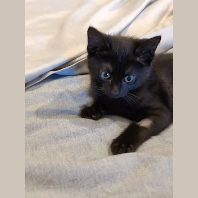 Photo of River Meet Me @ Petstock Hastings Store