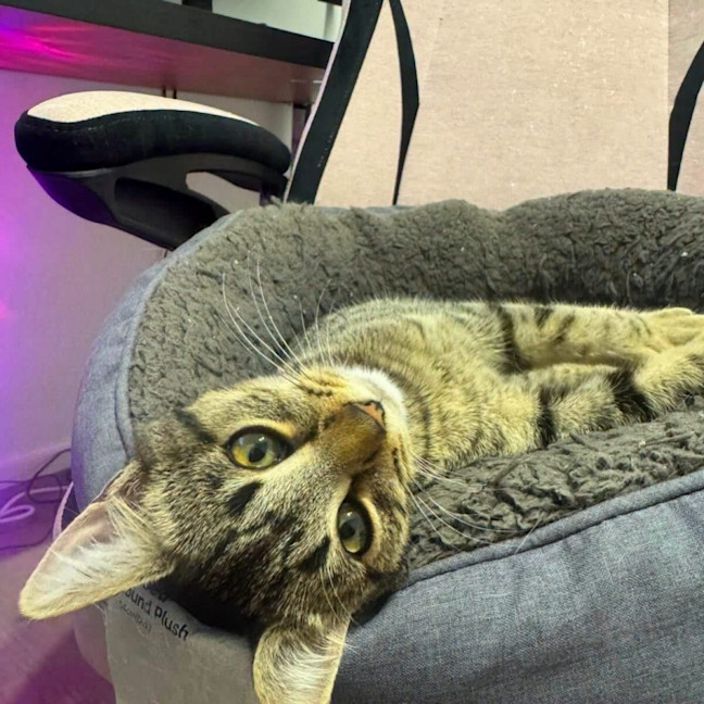 Photo of Arya