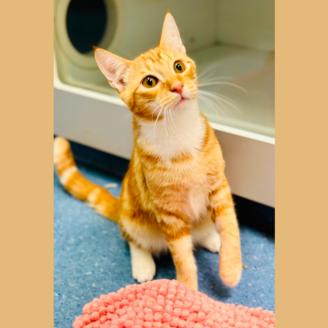 Photo of Elfie And Zorra 