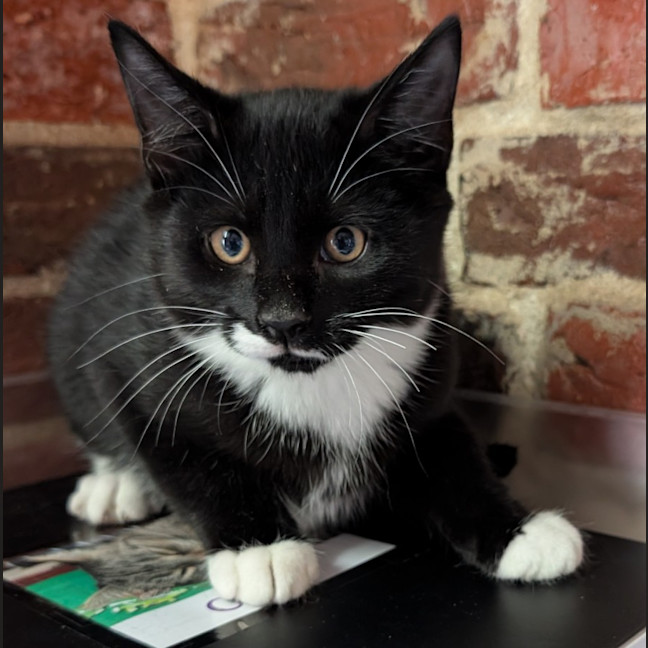 Photo of Buster