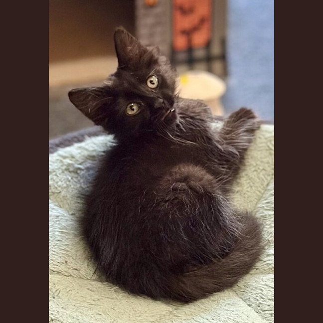 Photo of Sammy