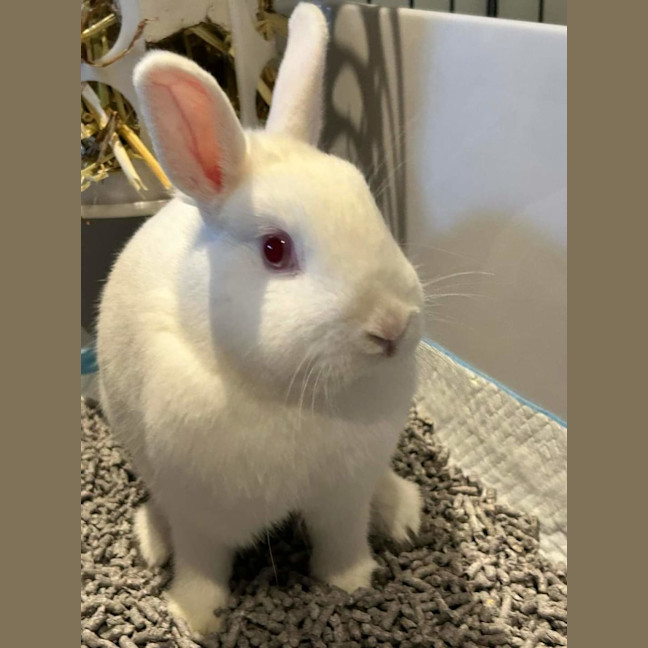 Photo of Audrey Hopburn With Mary Poppin