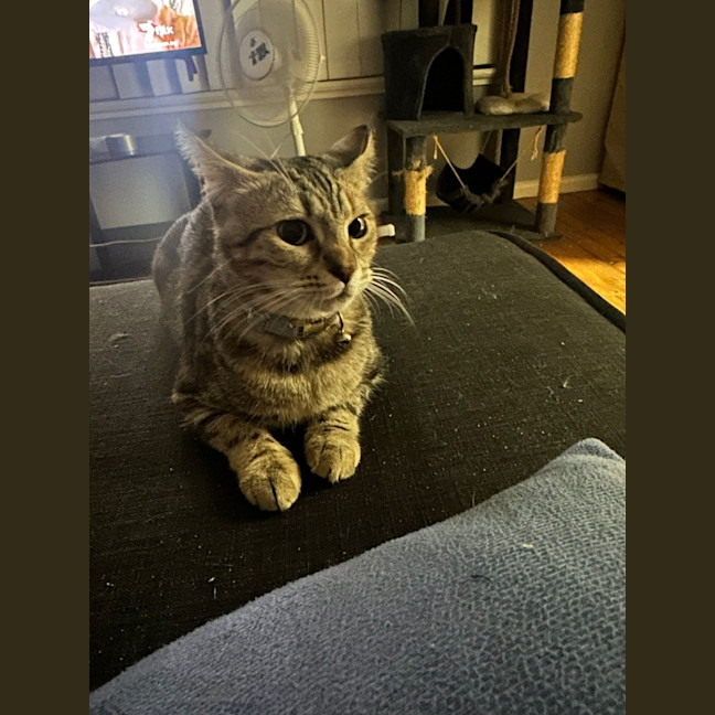 Photo of Angel