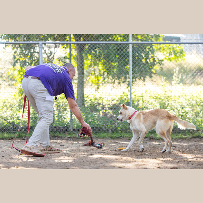 Photo of Buzz