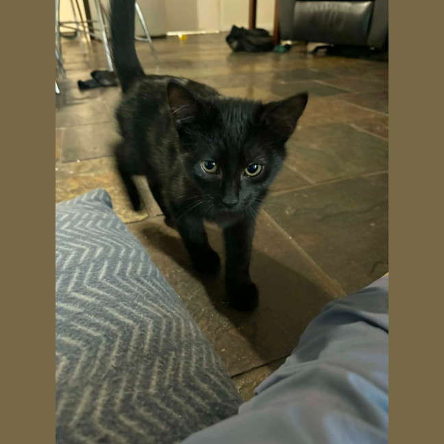 Photo of Spooky