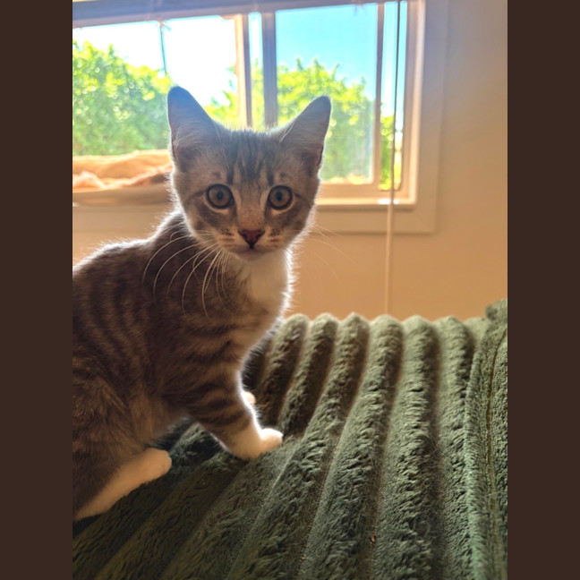 Photo of Bebe