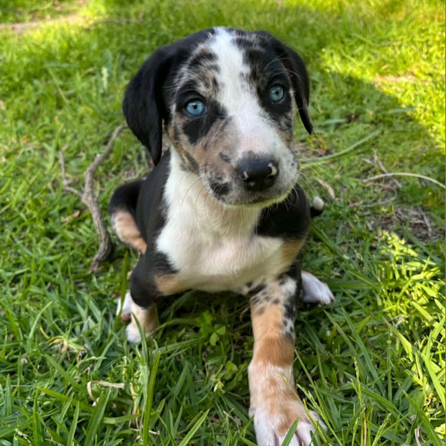 Photo of Kiwi