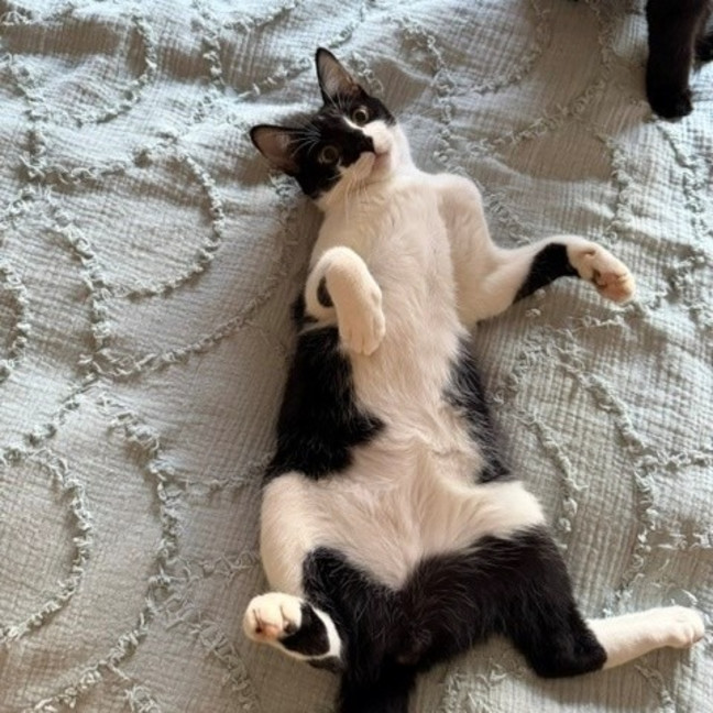 Photo of Percy