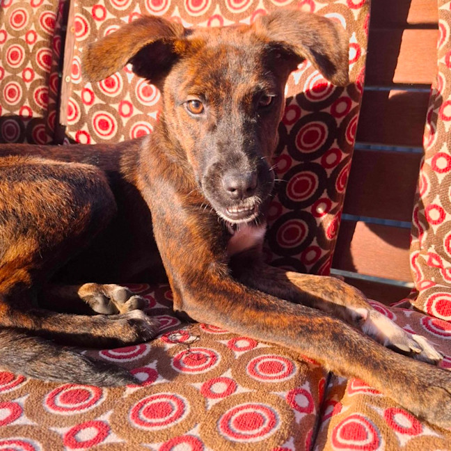 Photo of Georgie Girl