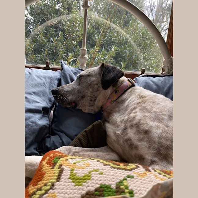 Photo of Anita Wiglet