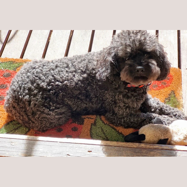 Photo of Alby