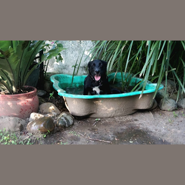 Photo of Jessy