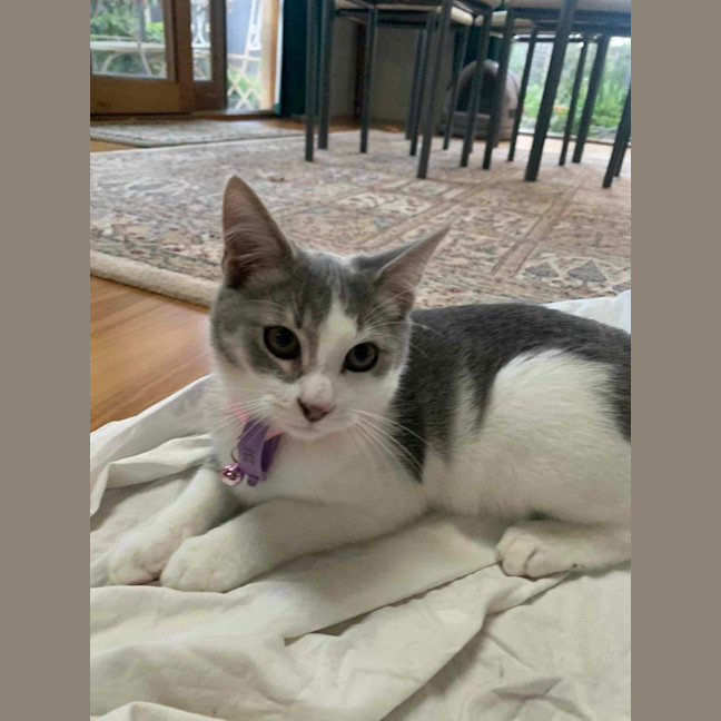 Photo of 🤎 Douglas 🤎